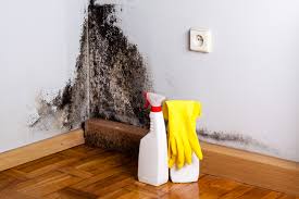 Best Attic Mold Removal  in Lincolndale, NY